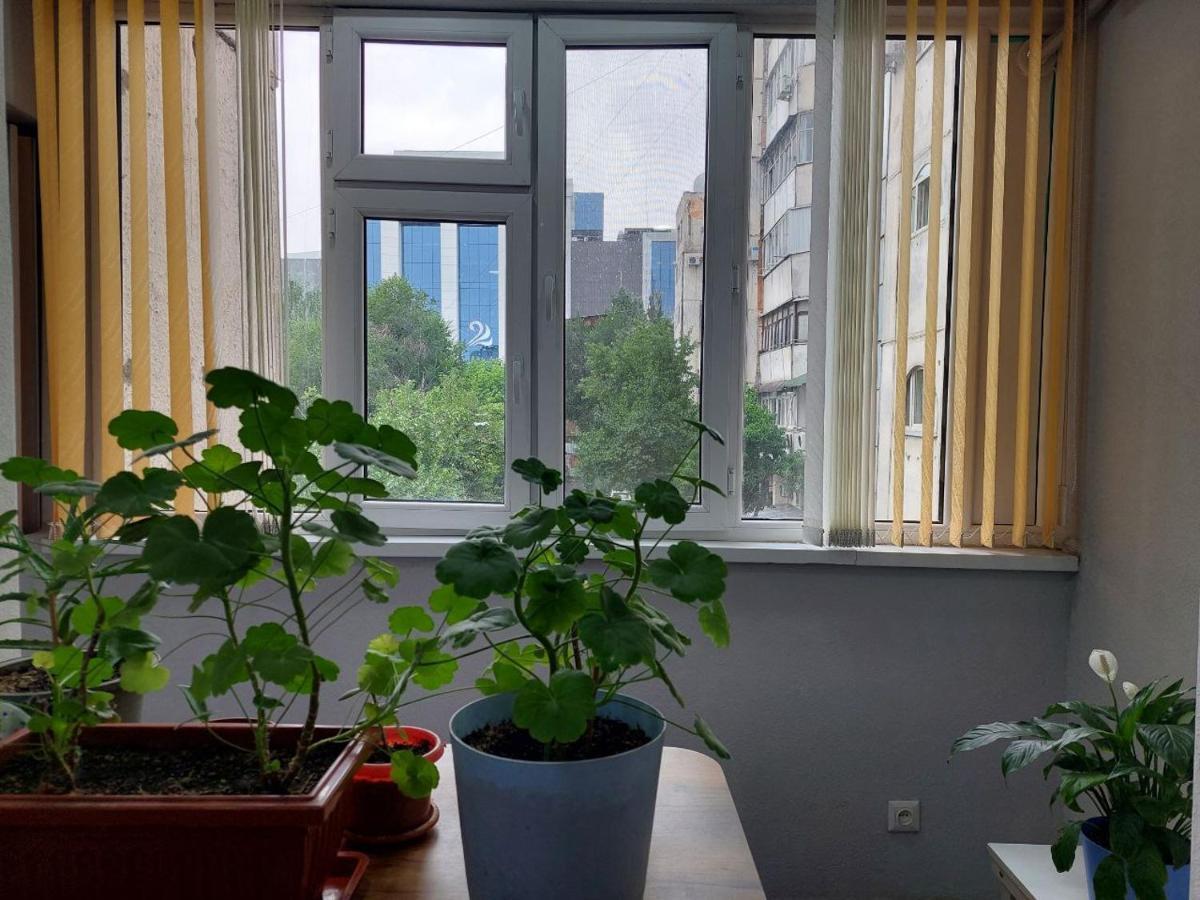 Downtown Homestay Bişkek Dış mekan fotoğraf